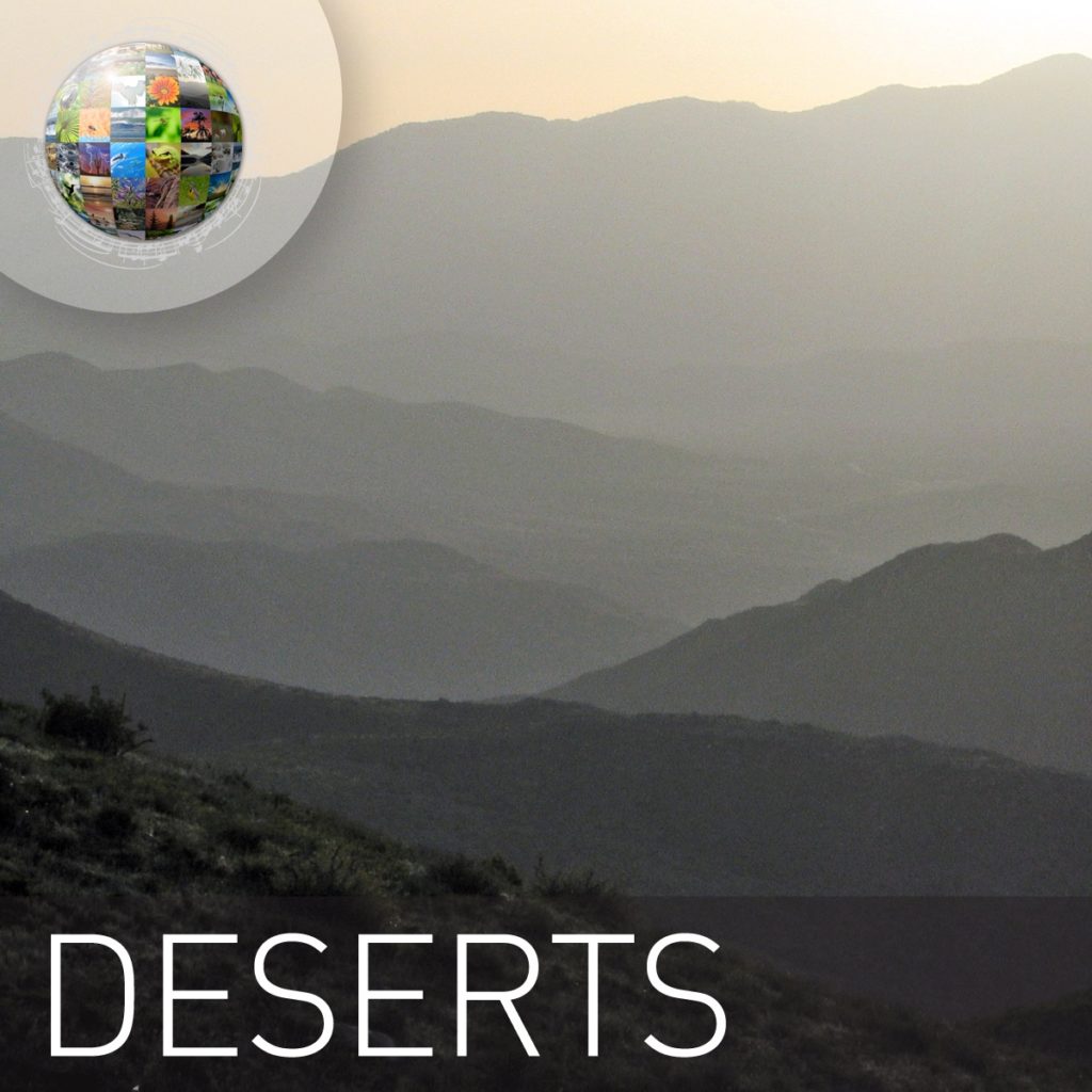 Deserts