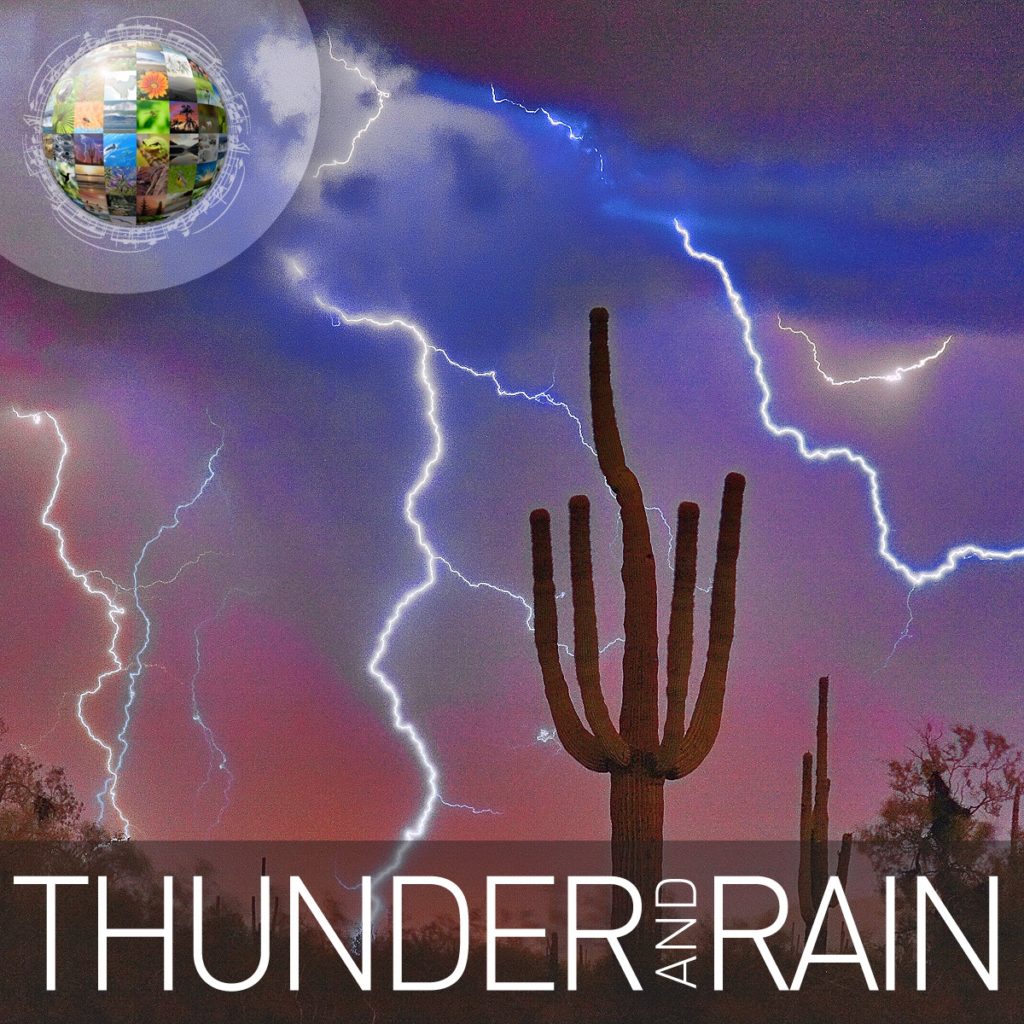 Thunder & Rain